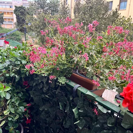 Savia Aeroporto di Catania Fontana Rossa